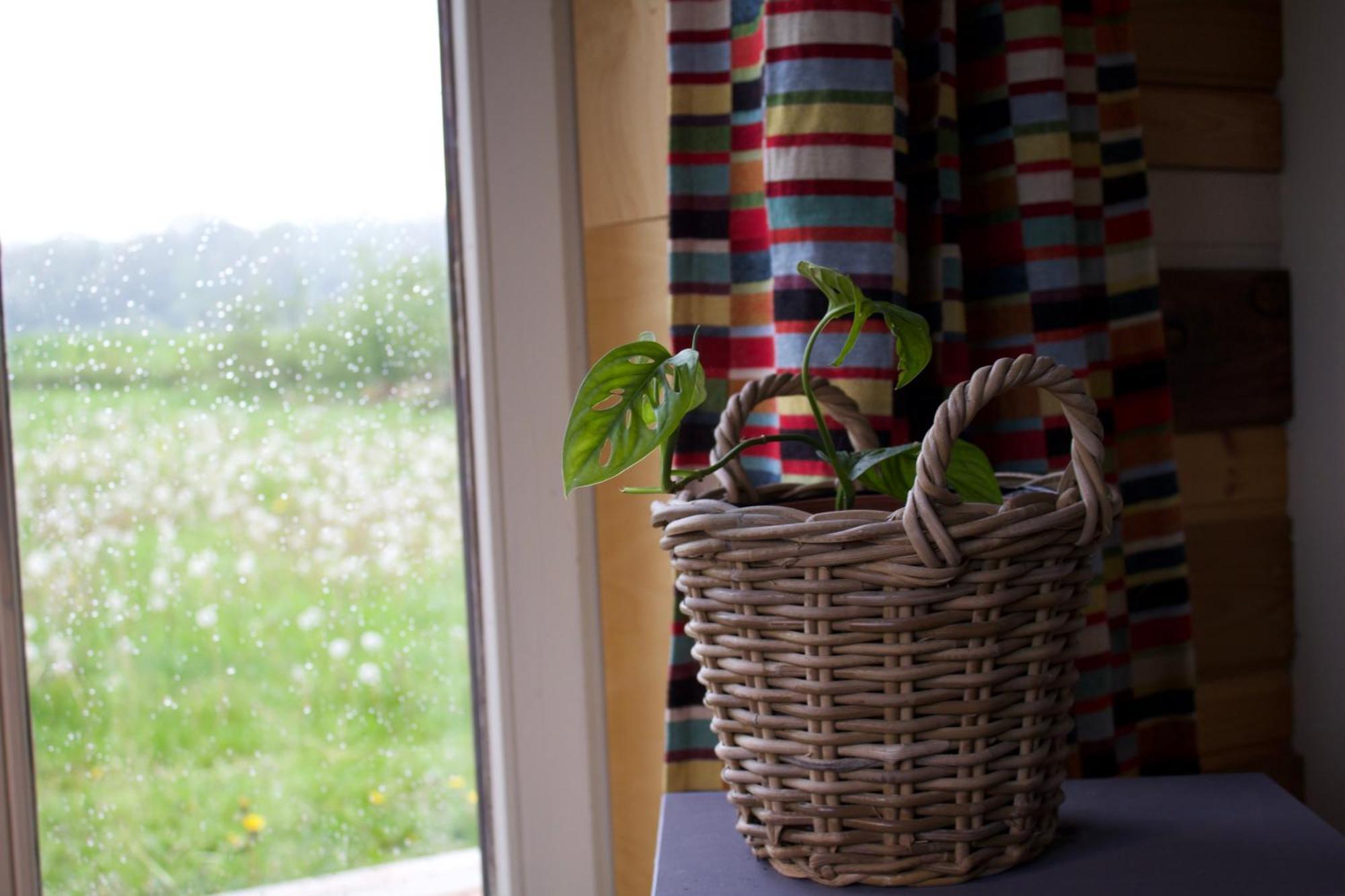 Tiny House Les Jours Heureux Sejour Nature Pres De Dinant Et Des Lacs De L Eau D Heure Villers-le-Gambon Exterior photo